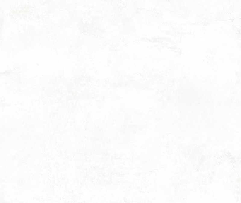 120X120 G.ARGON BLANCO