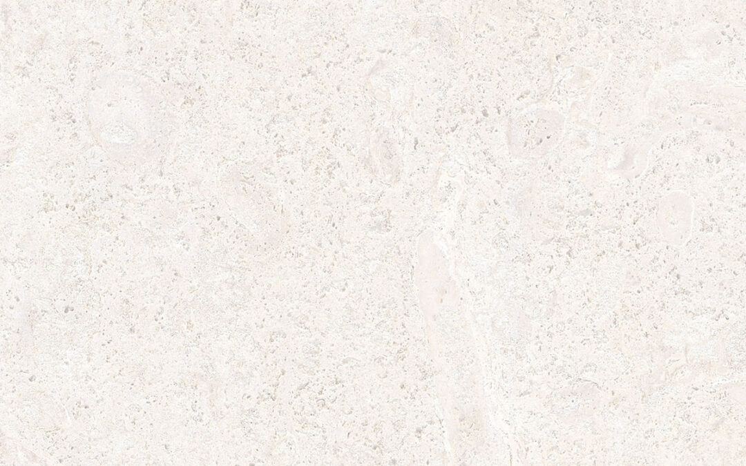 30×60 (C) G.CORALINA BLANCO